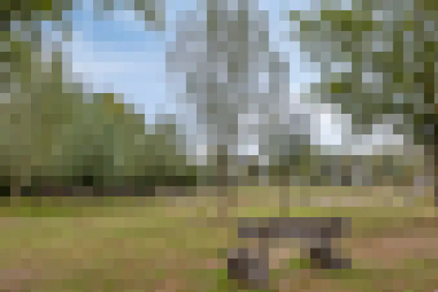 Zonnedauw 7 Mariahout thumbnail 33