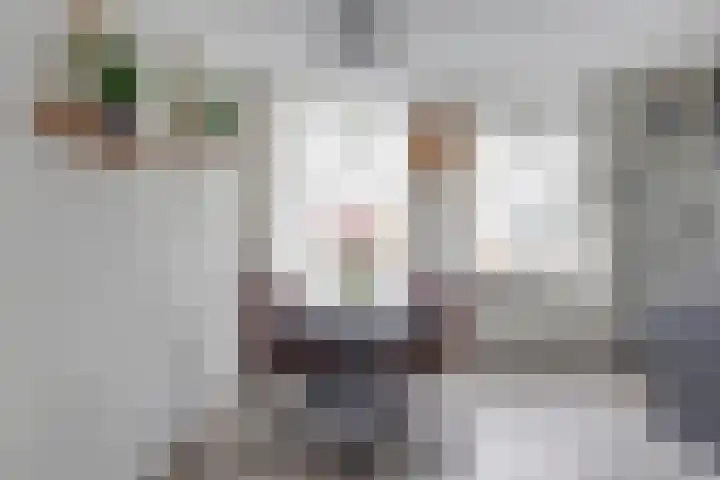 Zonnedauw 8 Hollandscheveld thumbnail 10