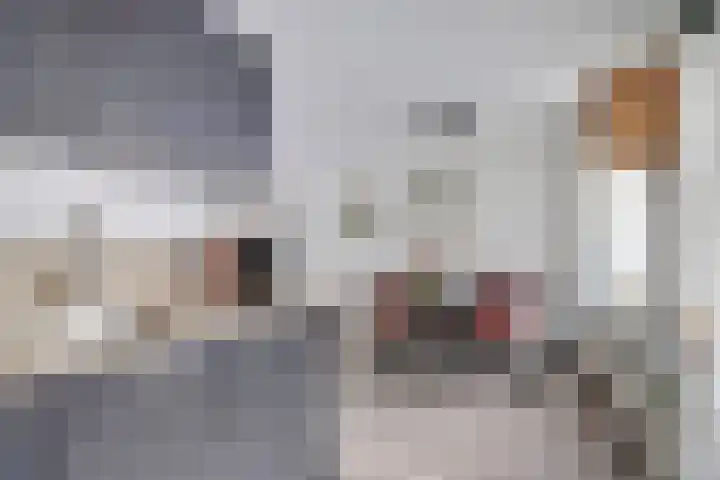 Zonnedauw 8 Hollandscheveld thumbnail 14