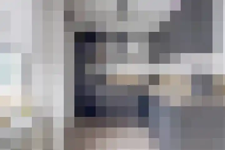 Zonnedauw 8 Hollandscheveld thumbnail 15