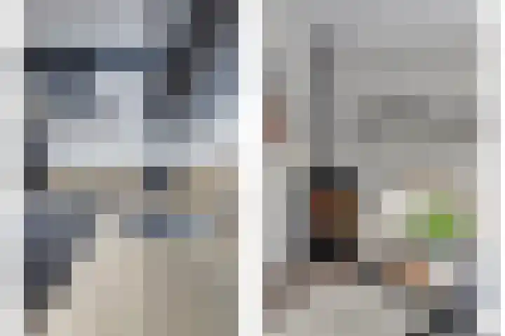 Zonnedauw 8 Hollandscheveld thumbnail 16