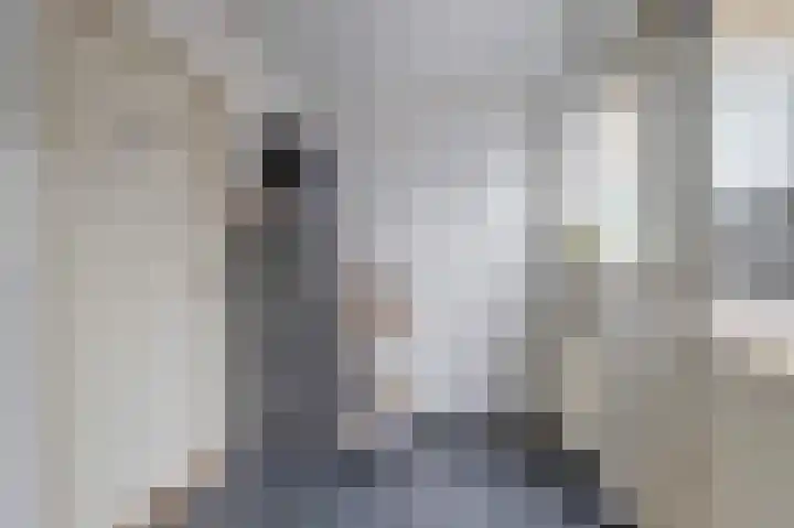 Zonnedauw 8 Hollandscheveld thumbnail 17