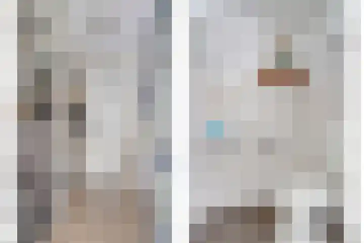 Zonnedauw 8 Hollandscheveld thumbnail 18