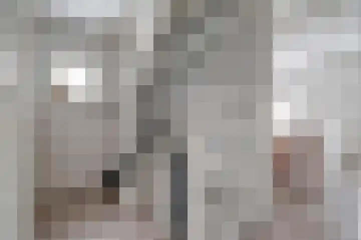 Zonnedauw 8 Hollandscheveld thumbnail 19