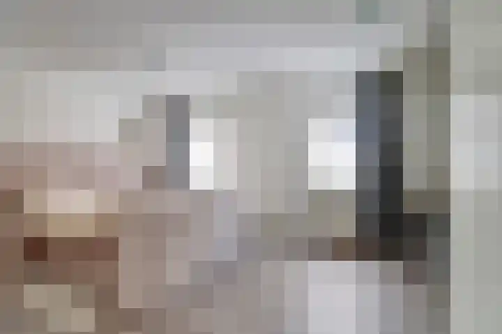 Zonnedauw 8 Hollandscheveld thumbnail 21