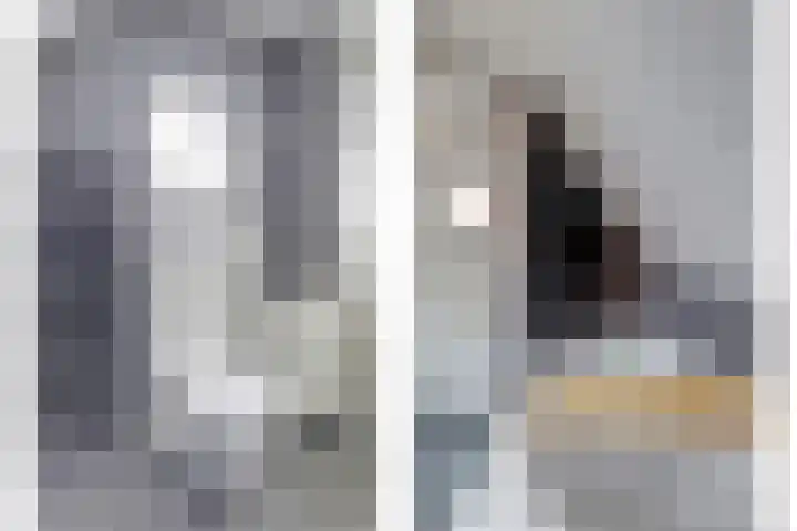 Zonnedauw 8 Hollandscheveld thumbnail 22