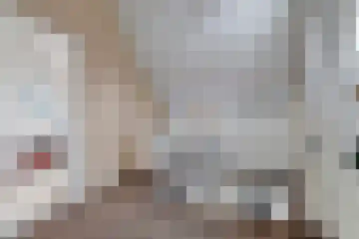 Zonnedauw 8 Hollandscheveld thumbnail 27