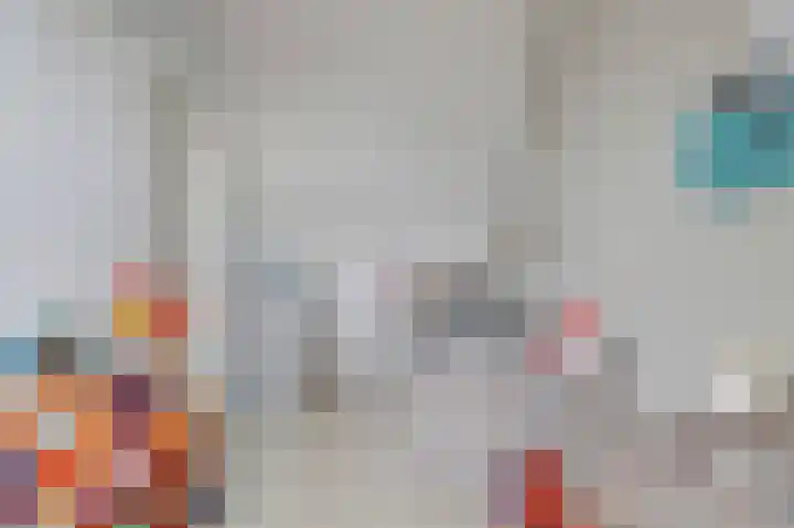 Zonnedauw 8 Hollandscheveld thumbnail 28