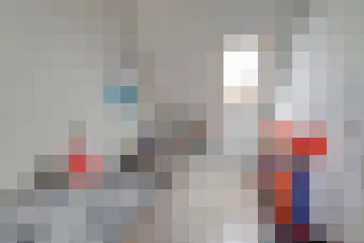 Zonnedauw 8 Hollandscheveld thumbnail 29