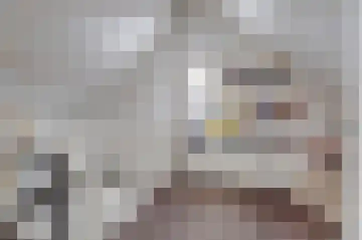 Zonnedauw 8 Hollandscheveld thumbnail 30