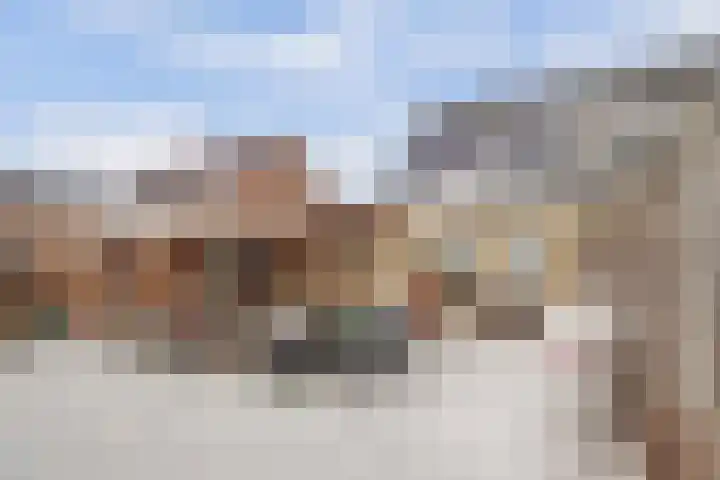 Zonnedauw 8 Hollandscheveld thumbnail 31
