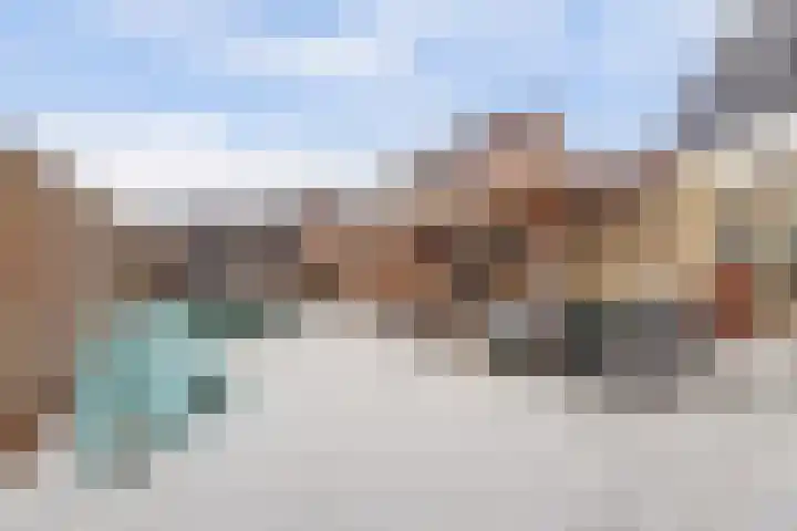 Zonnedauw 8 Hollandscheveld thumbnail 32