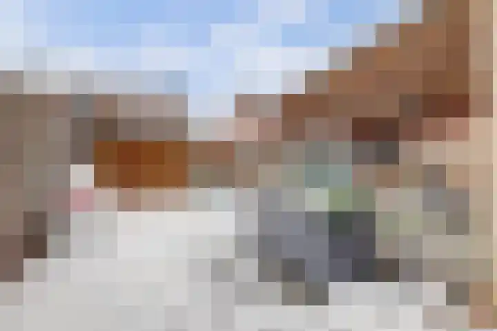 Zonnedauw 8 Hollandscheveld thumbnail 33