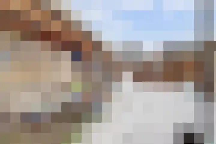 Zonnedauw 8 Hollandscheveld thumbnail 34
