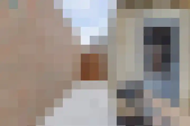 Zonnedauw 8 Hollandscheveld thumbnail 35