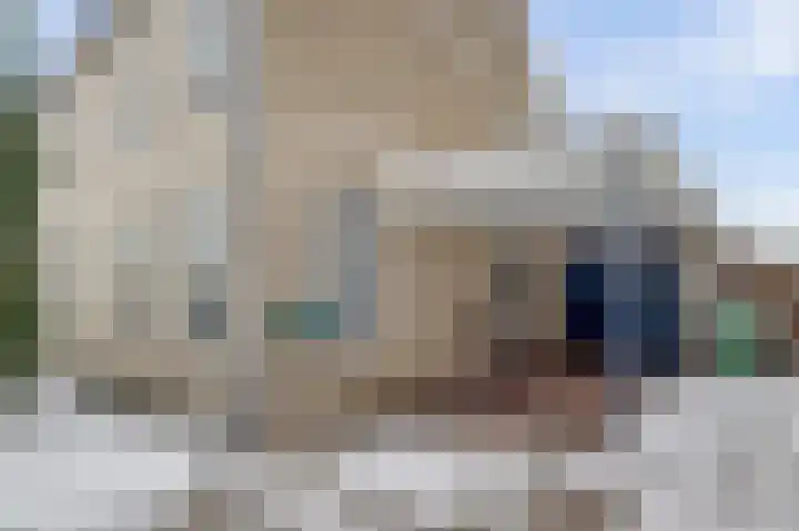 Zonnedauw 8 Hollandscheveld thumbnail 4