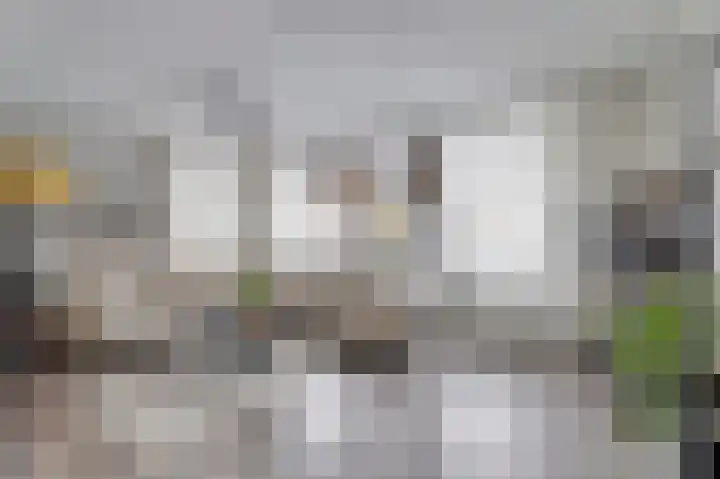 Zonnedauw 8 Hollandscheveld thumbnail 5