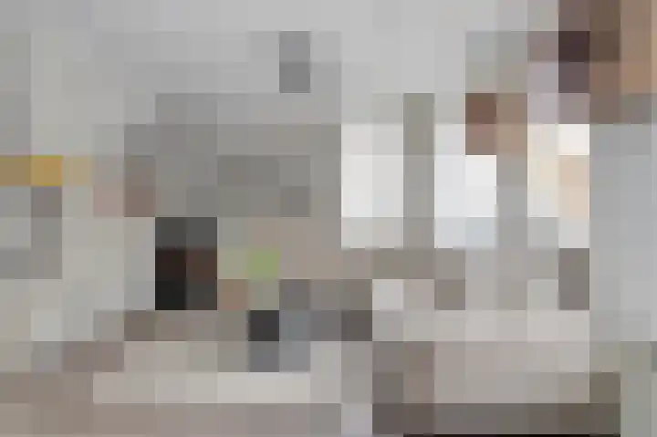 Zonnedauw 8 Hollandscheveld thumbnail 6