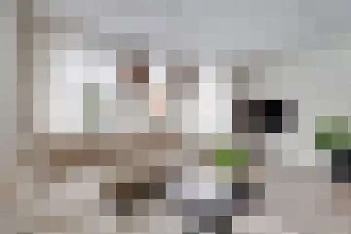 Zonnedauw 8 Hollandscheveld thumbnail 7