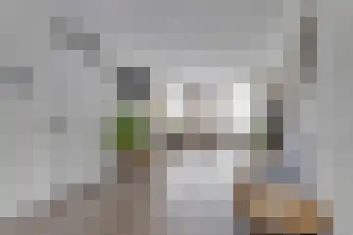 Zonnedauw 8 Hollandscheveld thumbnail 8
