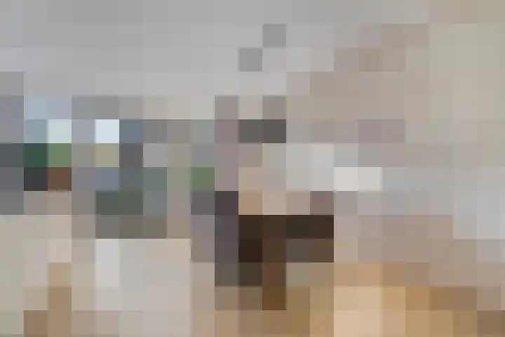 Zonnedauw 8 Prinsenbeek thumbnail 10