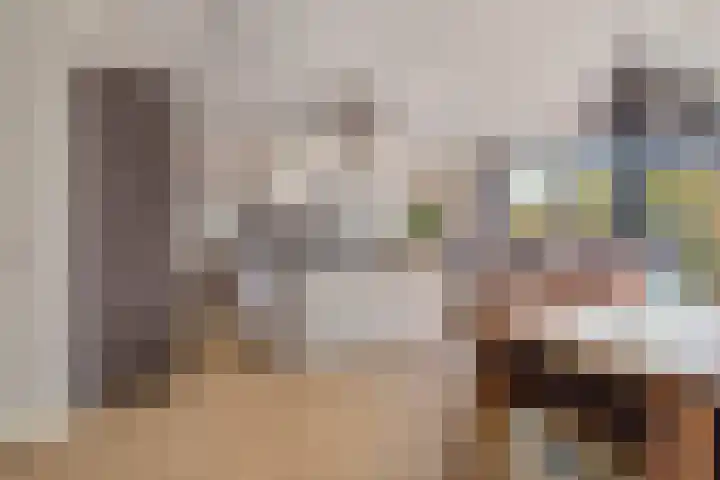 Zonnedauw 8 Prinsenbeek thumbnail 11