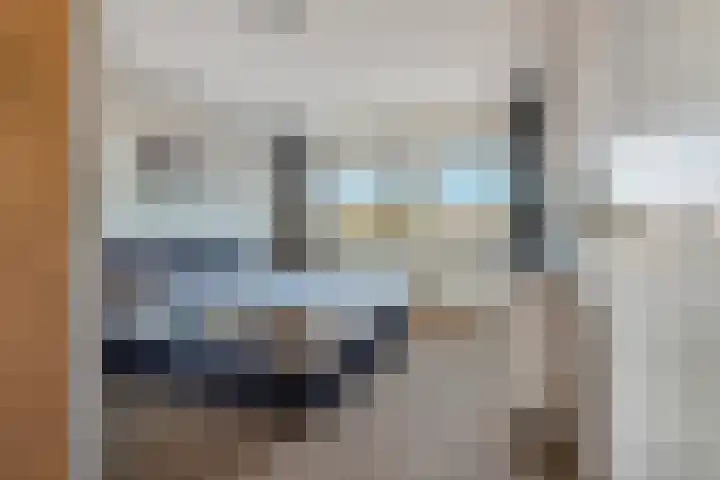 Zonnedauw 8 Prinsenbeek thumbnail 18