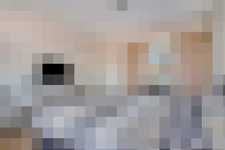 Zonnedauw 8 Prinsenbeek thumbnail 19