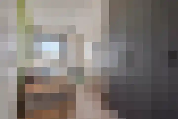 Zonnedauw 8 Prinsenbeek thumbnail 22