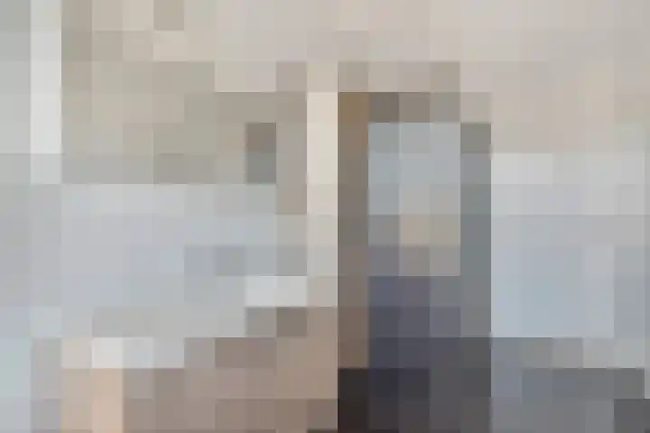 Zonnedauw 8 Prinsenbeek thumbnail 25
