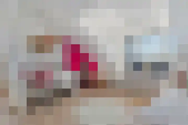 Zonnedauw 8 Prinsenbeek thumbnail 27