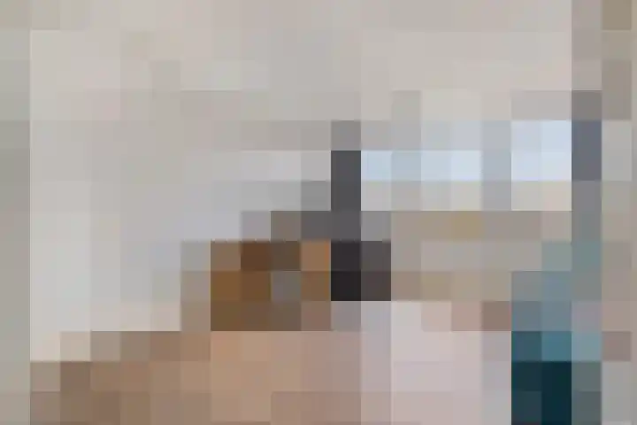 Zonnedauw 8 Prinsenbeek thumbnail 29