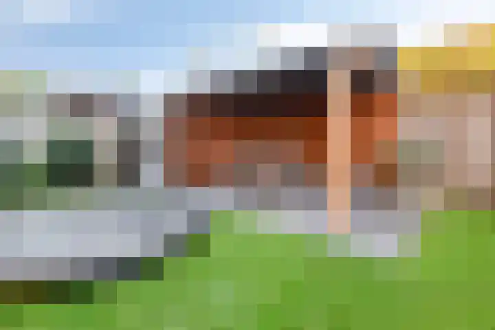 Zonnedauw 8 Prinsenbeek thumbnail 35