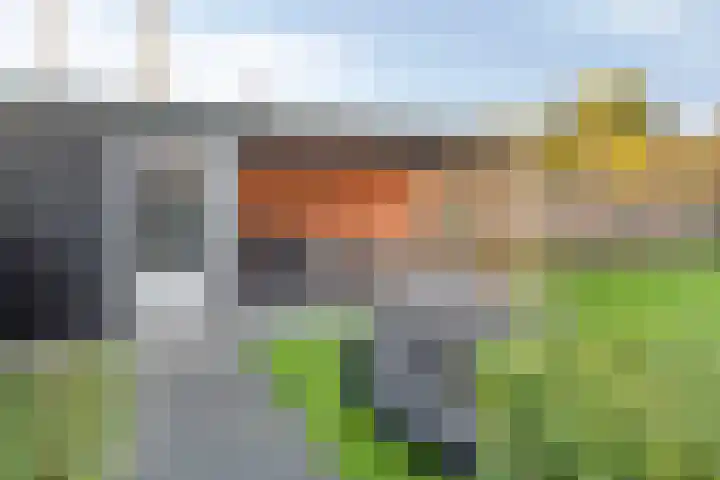 Zonnedauw 8 Prinsenbeek thumbnail 36