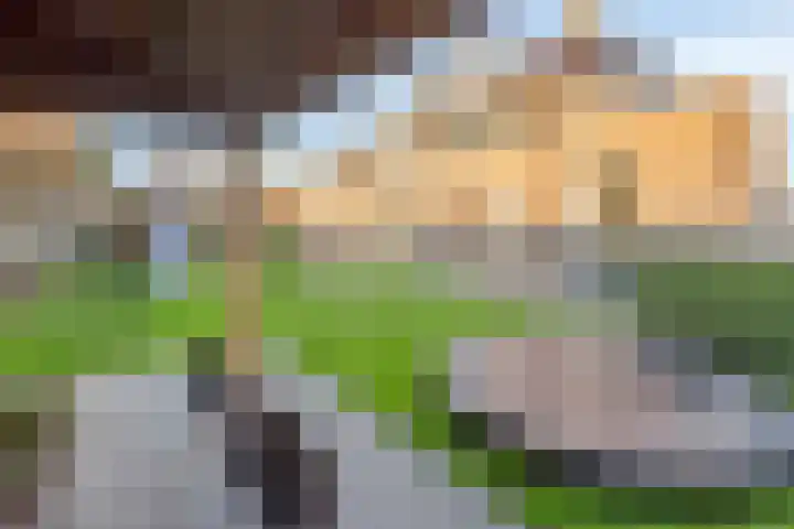 Zonnedauw 8 Prinsenbeek thumbnail 37