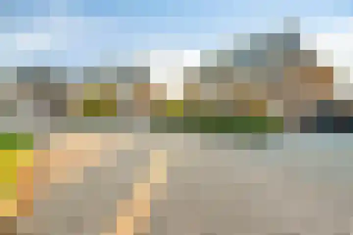 Zonnedauw 8 Prinsenbeek thumbnail 38