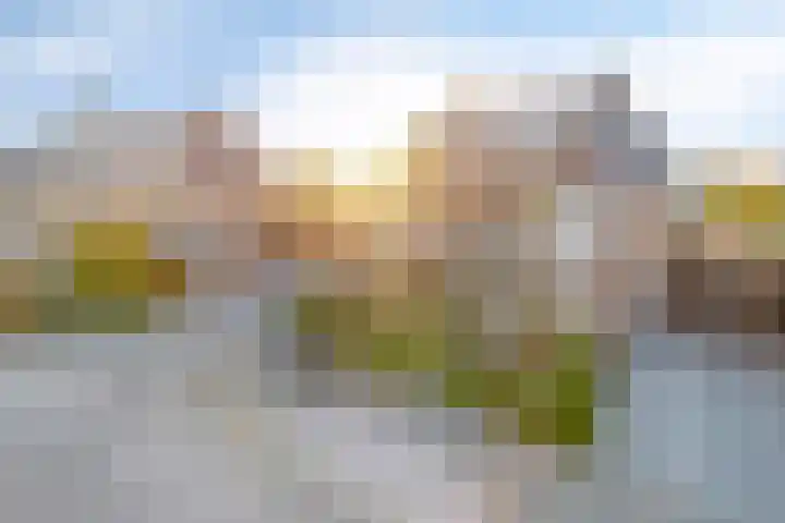 Zonnedauw 8 Prinsenbeek thumbnail 41