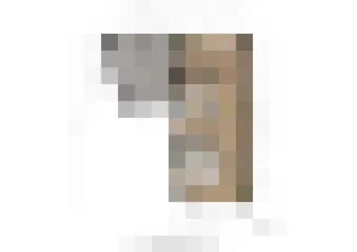 Zonnedauw 8 Prinsenbeek thumbnail 42