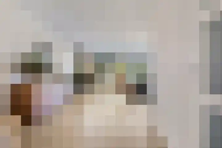 Zonnedauw 8 Prinsenbeek thumbnail 6