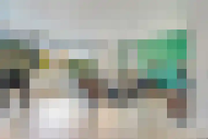 Zonnedauw 8 Prinsenbeek thumbnail 7