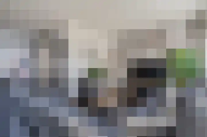 Zonnedauw 9 Nieuwlande thumbnail 10