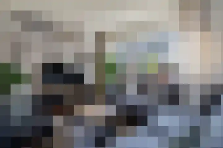 Zonnedauw 9 Nieuwlande thumbnail 11