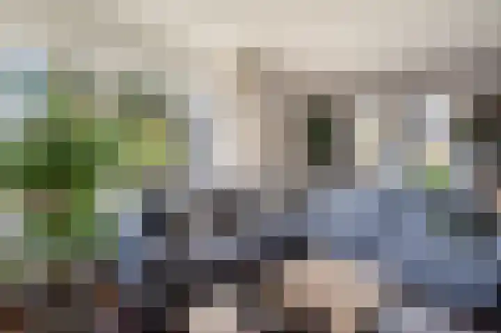 Zonnedauw 9 Nieuwlande thumbnail 12