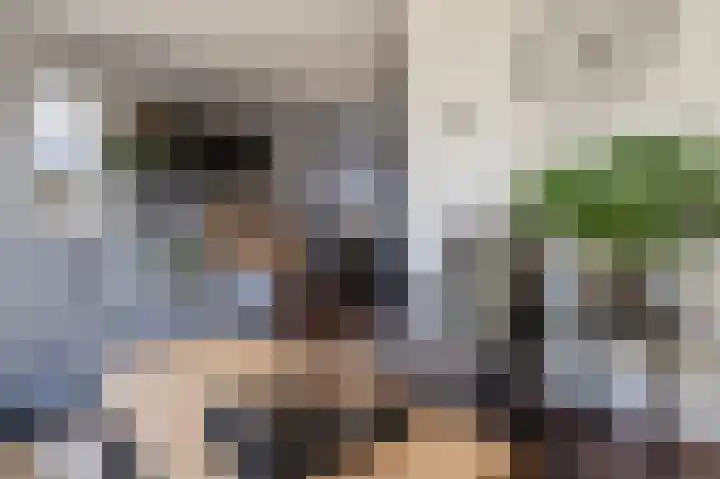 Zonnedauw 9 Nieuwlande thumbnail 13