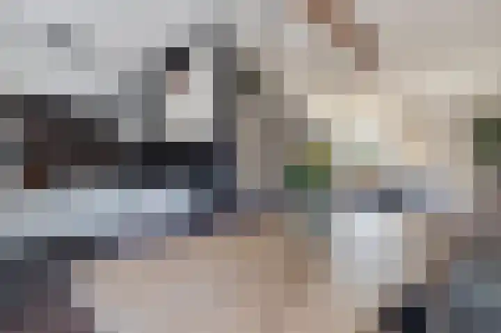 Zonnedauw 9 Nieuwlande thumbnail 17