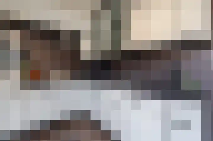 Zonnedauw 9 Nieuwlande thumbnail 18