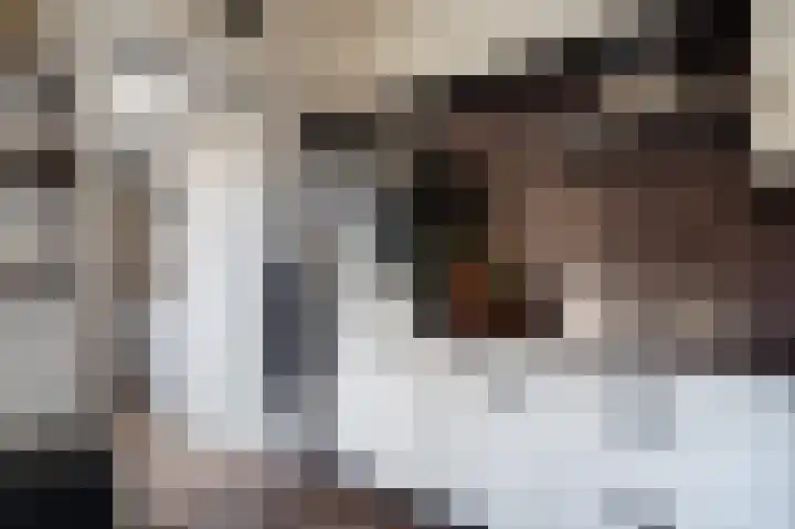 Zonnedauw 9 Nieuwlande thumbnail 20