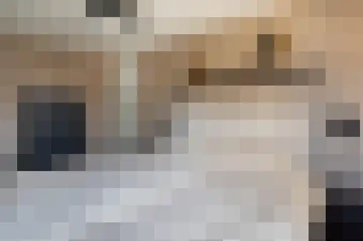 Zonnedauw 9 Nieuwlande thumbnail 29