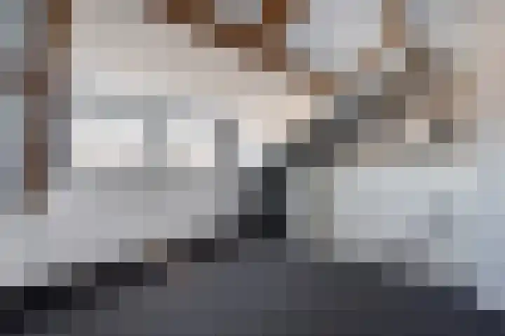 Zonnedauw 9 Nieuwlande thumbnail 35