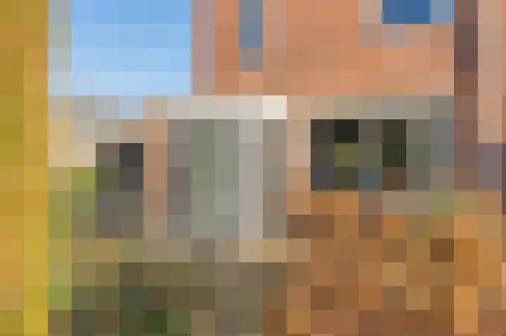 Zonnedauw 9 Nieuwlande thumbnail 4